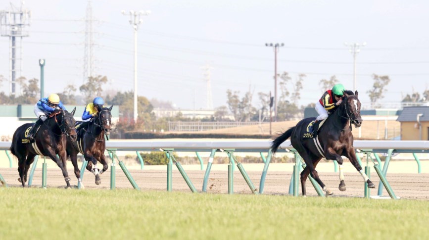 ソングライン 出資者限定ジャンパー 競馬-